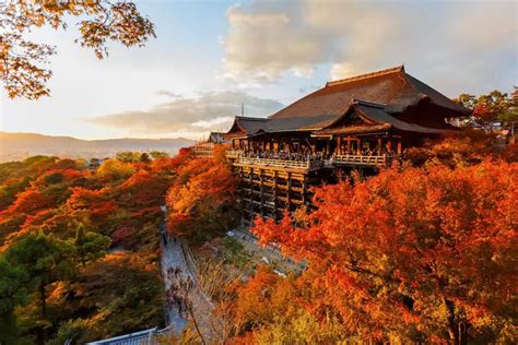 清水寺周辺ランチ：京都の味覚を巡る旅